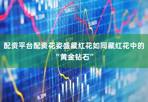 配资平台配资花姿盛藏红花如同藏红花中的“黄金钻石”