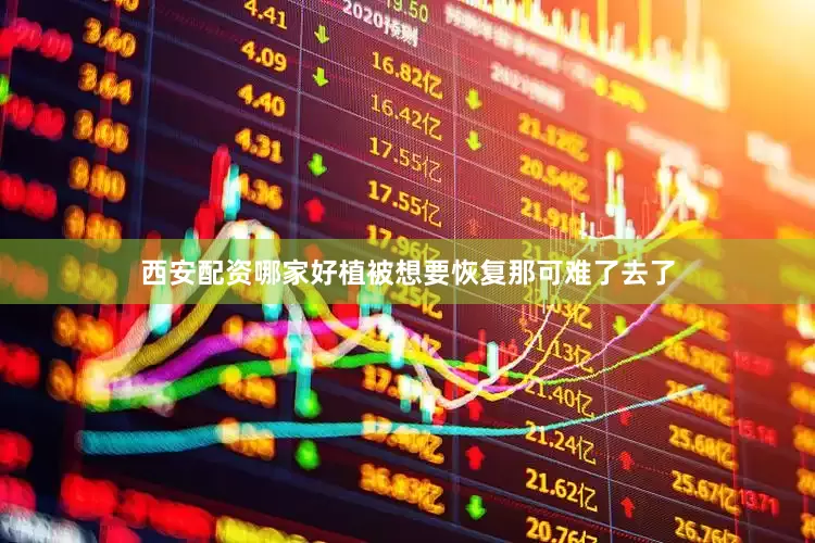 西安配资哪家好植被想要恢复那可难了去了